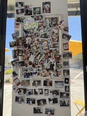 Philz Coffee by null