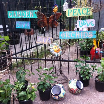 Orchid Express & Leasing - Nurseries & Gardening Near Me - Houston, Texas Orchid Express & Leasing - Nurseries & Gardening Near Me - Houston, Texas