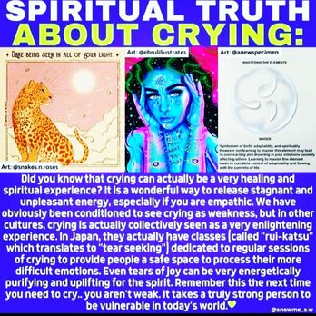 Kimberly Wagenmakers - Psychic Mediums Near Me