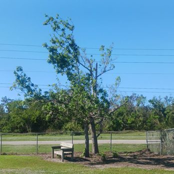 17th Street Dog Park - Dog Parks Near Me - Sarasota, Florida 17th Street Dog Park - Dog Parks Near Me - Sarasota, Florida