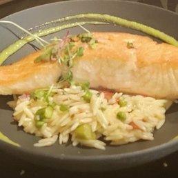 Ora Salmon Ora Salmon