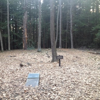 Vaughan Woods Memorial State Park - Former homestead site. - Parks Near Me - South Berwick, Maine