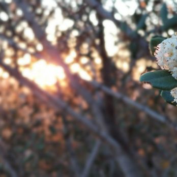Brand Park - Hiking Near Me - Glendale, California