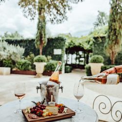 Signor Vineyards - Experience the art of wine at Signor Vineyards' with our tastings. Enjoy 4 wine types with expert teachings along the way.