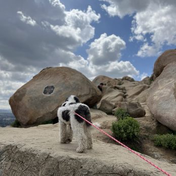 Mount Rubidoux Trail - Hiking Near Me - Riverside, California