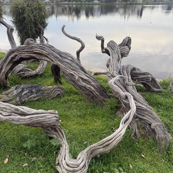Lake Merritt - Parks Near Me - Oakland, California