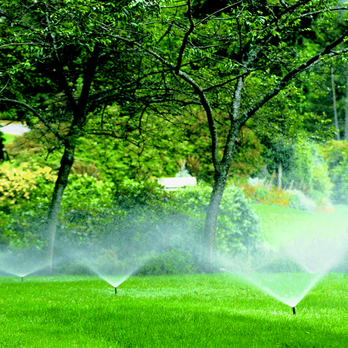 Lush N' Green - Irrigation Near Me - Cape Canaveral, Florida Lush N' Green - Irrigation Near Me - Cape Canaveral, Florida