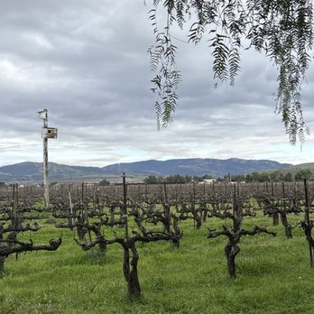 Retzlaff Vineyards - Wineries Near Me - Livermore, California Retzlaff Vineyards - Wineries Near Me - Livermore, California