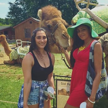 Nova Wild - Samson is such a lush - Petting Zoos Near Me - Vienna, Virginia