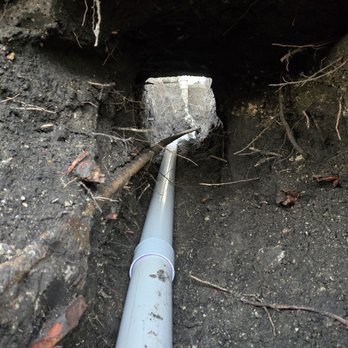 Invitation Homes - A tunnel under my patio! Of course I crawled in it! - Property Management Near Me - Addison, Texas