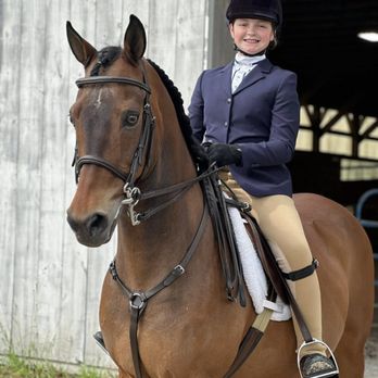 A&M Equine Services - Horseback Riding Near Me - Taunton, Massachusetts A&M Equine Services - Horseback Riding Near Me - Taunton, Massachusetts