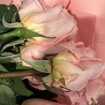 Hugo's Flower Shop - Dead - Florists Near Me - Fontana, California
