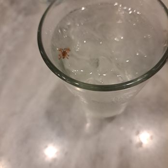 Nella Pizza e Pasta - spiders in the food and drinks, flies landing on all the food... this is a horrible disgusting restaurant with poor management - Pizza Near Me - Chicago, Illinois Nella Pizza e Pasta - spiders in the food and drinks, flies landing on all the food... this is a horrible disgusting restaurant with poor management - Pizza Near Me - Chicago, Illinois