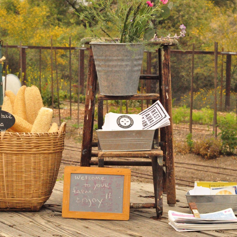 Farm Lot 59 - Cool loofa - Florists Near Me - Long Beach, California