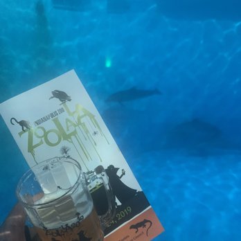 Zoolala - sample sips in w the dolphins - Festivals Near Me - Indianapolis, Indiana