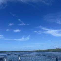 Captain Cathy Eagle Boat Tours