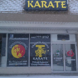 Tracy's Karate