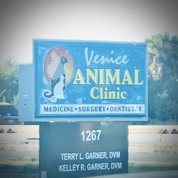 VENICE ANIMAL CLINIC - Updated January 2025 - 16 Reviews - 1267 US 