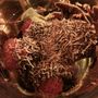 Photo of Ranoush