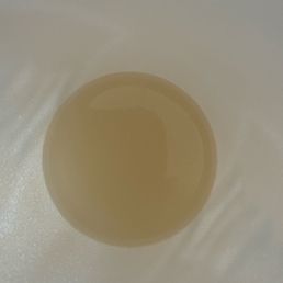 Pee in my cup Pee in my cup