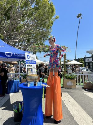 The Venice Fest by null