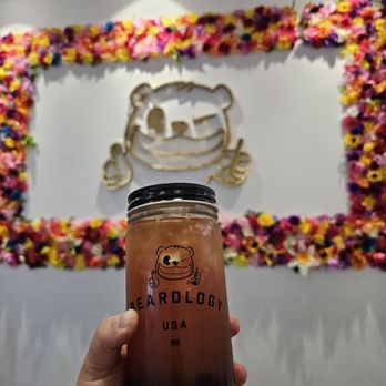Bearology - Bubble Tea Near Me - Schaumburg, Illinois