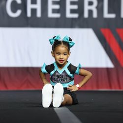 808 Cheer Sharks
