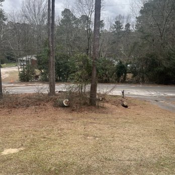 Augusta Southern Tree Removal - Tree Services Near Me - Blythe, Georgia