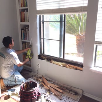 Deanza Termite & Pest Control - The damage continues - Pest Control Near Me - Temecula, California