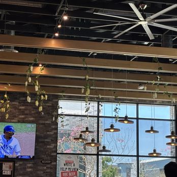 Common Theory Chula Vista - Gastropubs Near Me - Chula Vista, California Common Theory Chula Vista - Gastropubs Near Me - Chula Vista, California