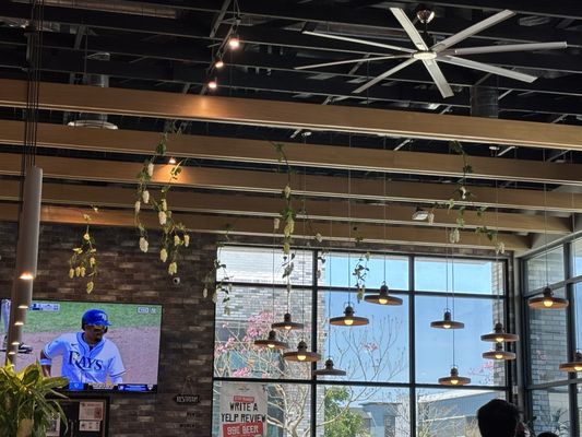 Common Theory Chula Vista by null