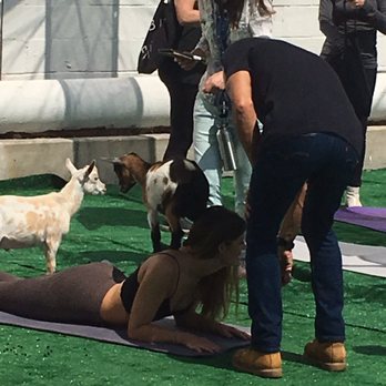 Basecamp Dinette - Yoga with goats - Coffee & Tea Near Me - Burbank, California Basecamp Dinette - Yoga with goats - Coffee & Tea Near Me - Burbank, California