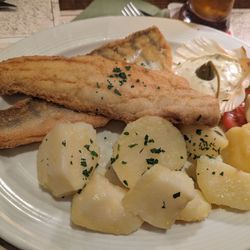 Marjan Grill - Some type of sea bass