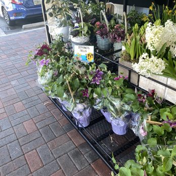 Trader Joe's - Yay flowers! - Grocery Near Me - Fort Lauderdale, Florida