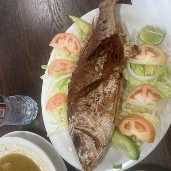 Aqui Me Quedo - Red snapper - Spanish Near Me - Newington, Connecticut