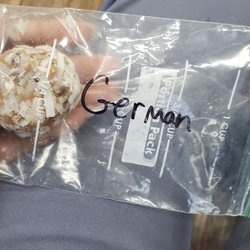 Key Nutrition - German protein balls