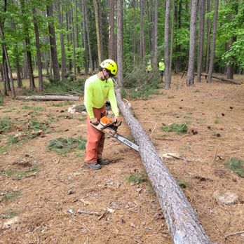 Roble Tree Care - a man cutting a tree with a chainsaw - Landscaping Near Me - Senoia, Georgia Roble Tree Care - a man cutting a tree with a chainsaw - Landscaping Near Me - Senoia, Georgia