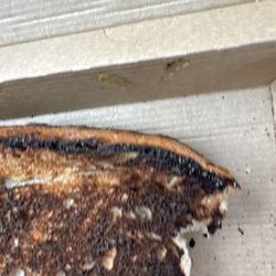 Dunkin' - For the Dunkin employees. When you see the toast coming out of the toaster looking burnt. Please just simply do it over.