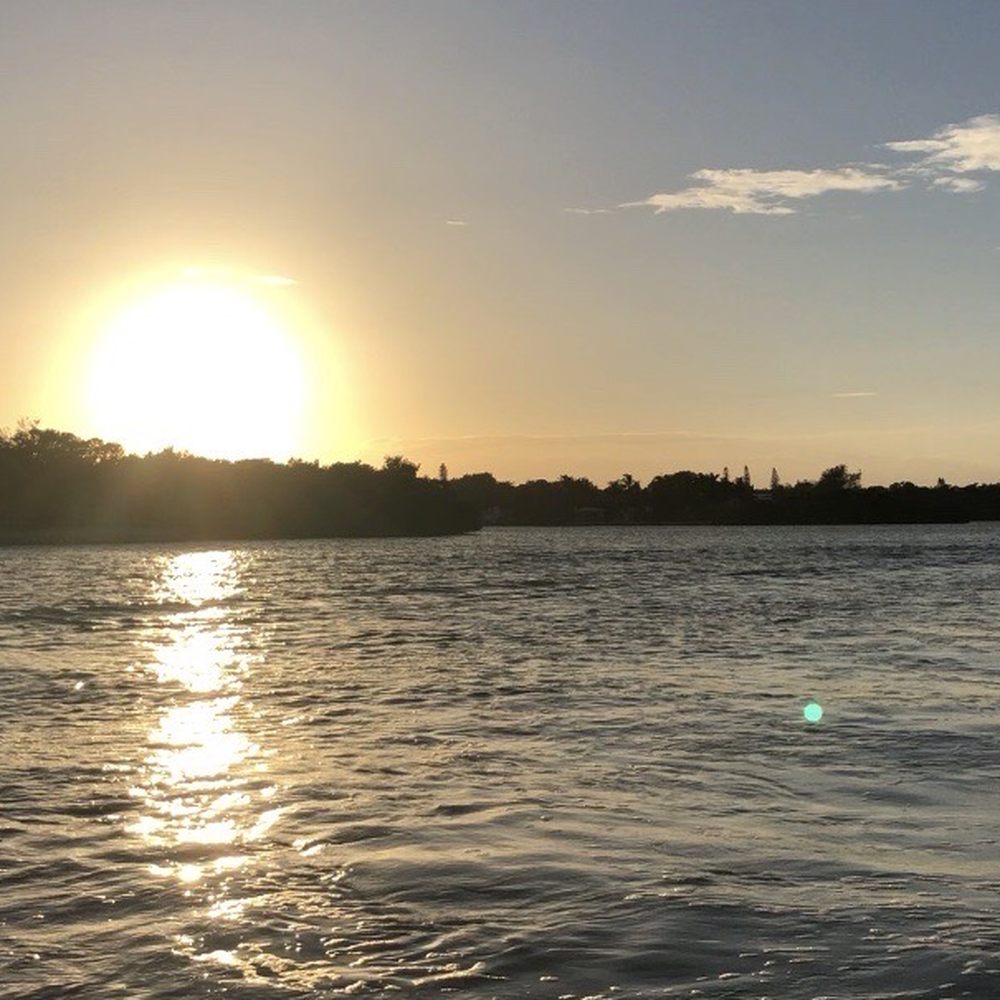 Passage Key Dolphin Tours - Snorkeling Near Me - Bradenton Beach, Florida
