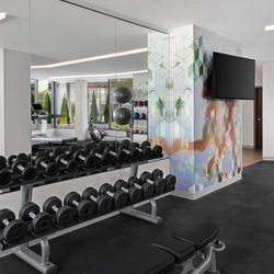 Hyatt Place Atlanta / Perimeter Center - Health Club