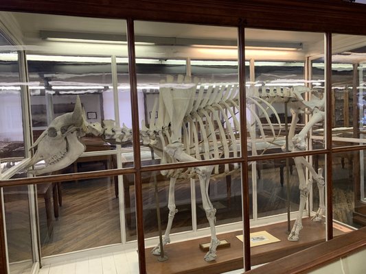 Wagner Free Institute of Science by null