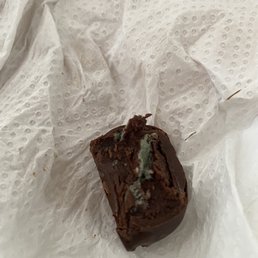 MOLD IN THEIR CHOCOLATE!!! Disgusting MOLD IN THEIR CHOCOLATE!!! Disgusting