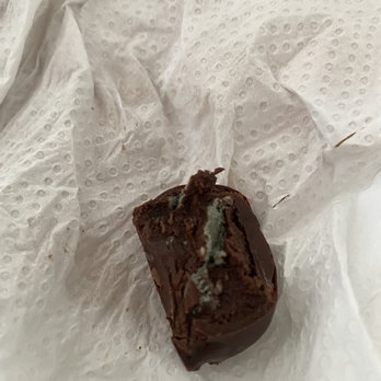 Island Candy Company - MOLD IN THEIR CHOCOLATE!!! Disgusting - Specialty Food Near Me - Orrs Island, Maine Island Candy Company - MOLD IN THEIR CHOCOLATE!!! Disgusting - Specialty Food Near Me - Orrs Island, Maine