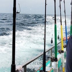 Bunny Clark Deep Sea Fishing