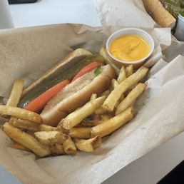 Chicago style hot dog and cheese fries Chicago style hot dog and cheese fries