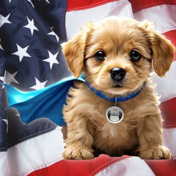 PupSavers Rescue - Animal Shelters Near Me - Clarksburg, West Virginia PupSavers Rescue - Animal Shelters Near Me - Clarksburg, West Virginia