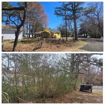 Snows Tree Care & Outdoors - Tree Services Near Me - Gloucester Point, Virginia Snows Tree Care & Outdoors - Tree Services Near Me - Gloucester Point, Virginia