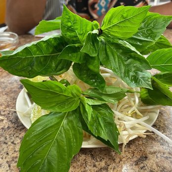 Got Pho - Herbs - Vietnamese Near Me - Vancouver, British Columbia Got Pho - Herbs - Vietnamese Near Me - Vancouver, British Columbia