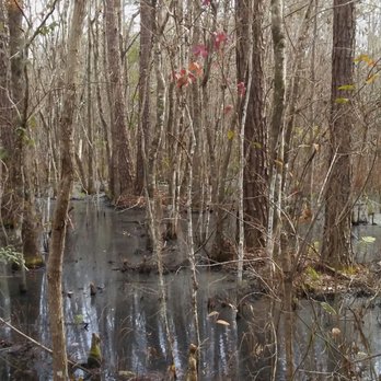 Jacksonville-Baldwin Rail-Trail - Hiking Near Me - Jacksonville, Florida Jacksonville-Baldwin Rail-Trail - Hiking Near Me - Jacksonville, Florida