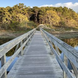 Uncle Tim's Bridge